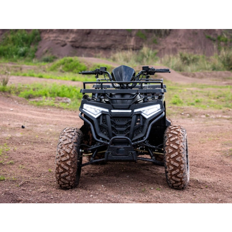Квадроцикл SHARMAX 300 RX Activator 2594624