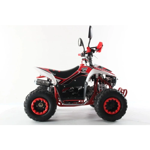 Квадроцикл MOTAX Mikro 110 New