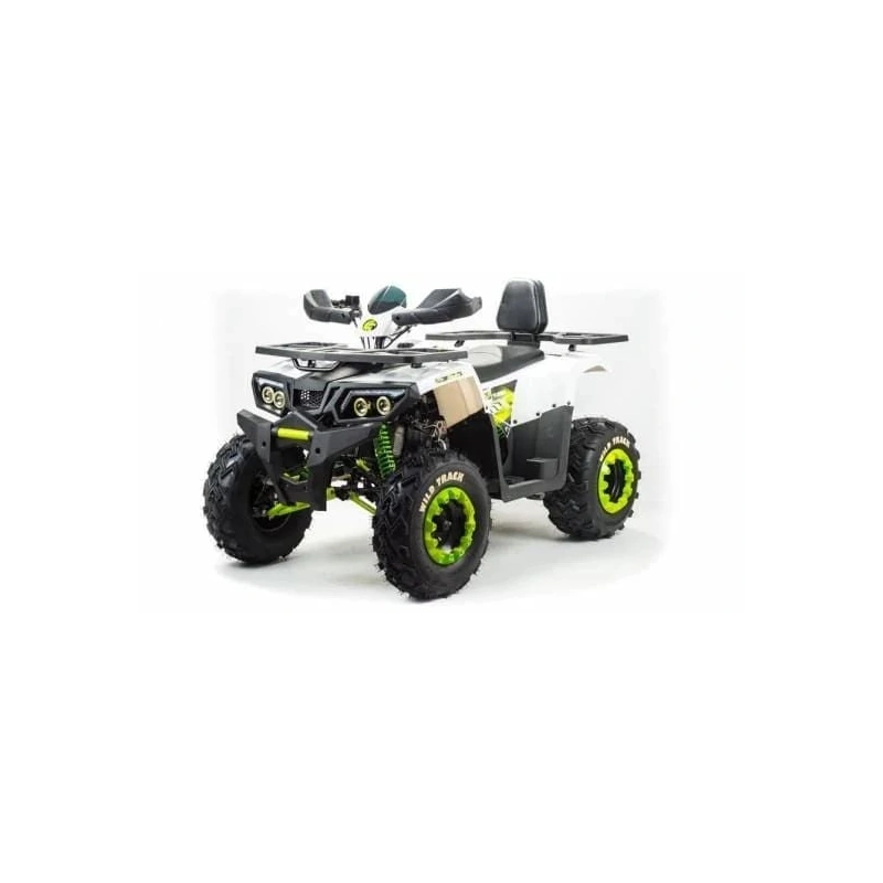 Квадроцикл MOTOLAND 200 Wild Track Lux ( Баланс. вал) (2021 Г.) 251050