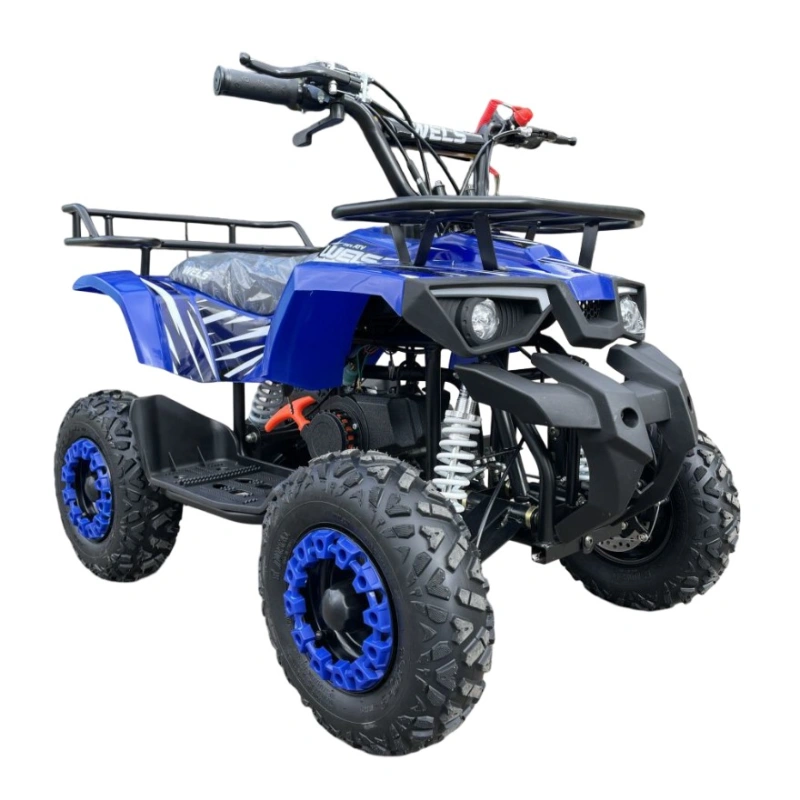 Квадроцикл WELS Thunder mini 2T