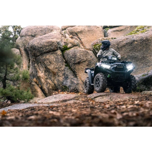 Квадроцикл KAWASAKI Brute Force 750 EPS (2024) (ПСМ) 2587386