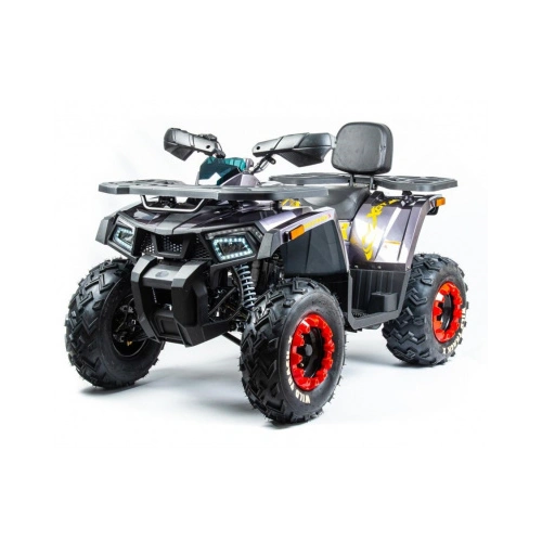 Квадроцикл MOTOLAND 200 Wild Track X Pro (2022)