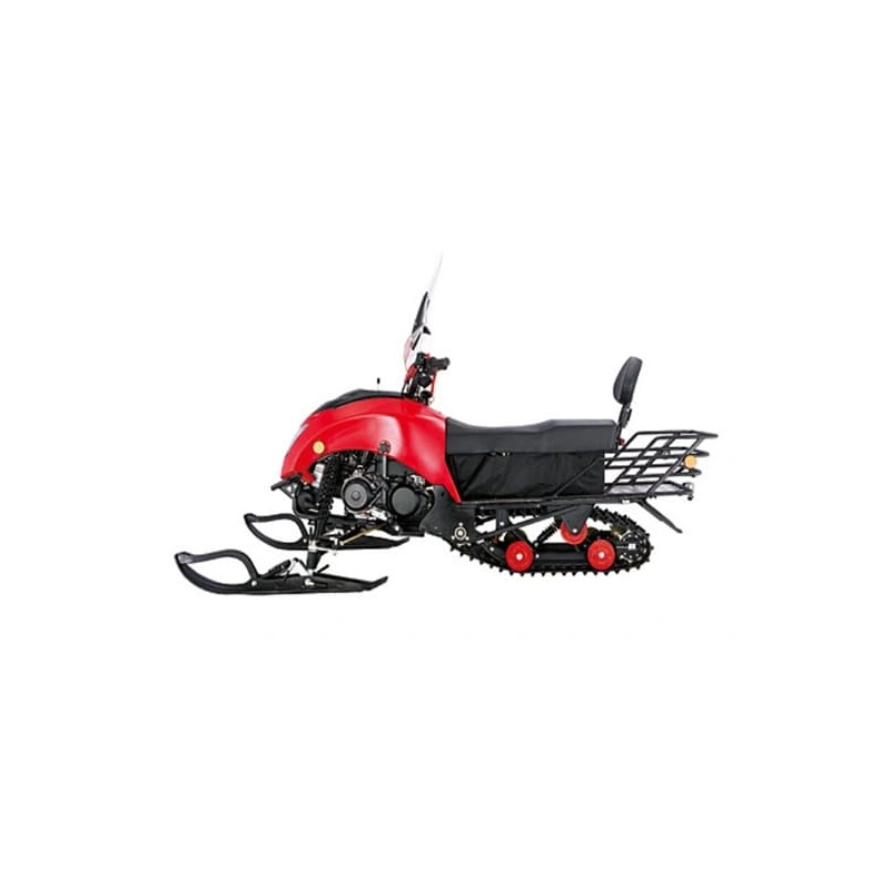 Снегоход REGULMOTO Raccoon разборный