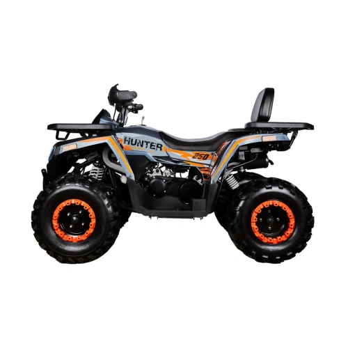 Квадроцикл AVANTIS H250 Big New Basic 2591697