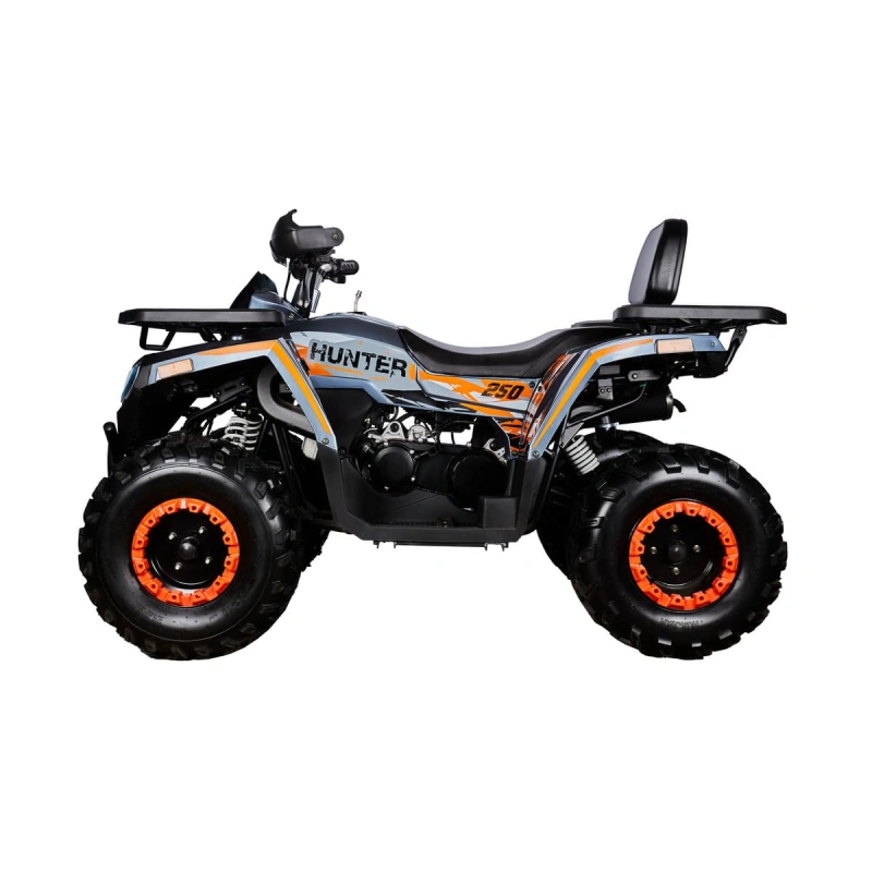 Квадроцикл AVANTIS H250 Big New Basic 2591697