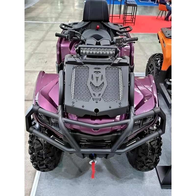 Квадроцикл AODES PathCross Max 1000 LTD (2025) 2590748
