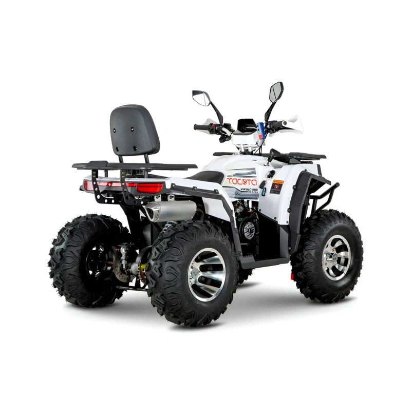 Квадроцикл YACOTA Viking 200 Pro 2590760
