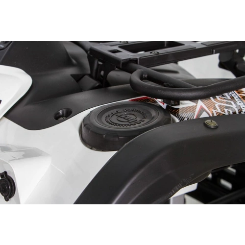 Квадроцикл BALTMOTORS Striker 500 EFI