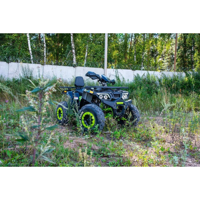 Квадроцикл MOTOLAND 200 Wild Track Lux ( Баланс. вал) (2021 Г.) 251050