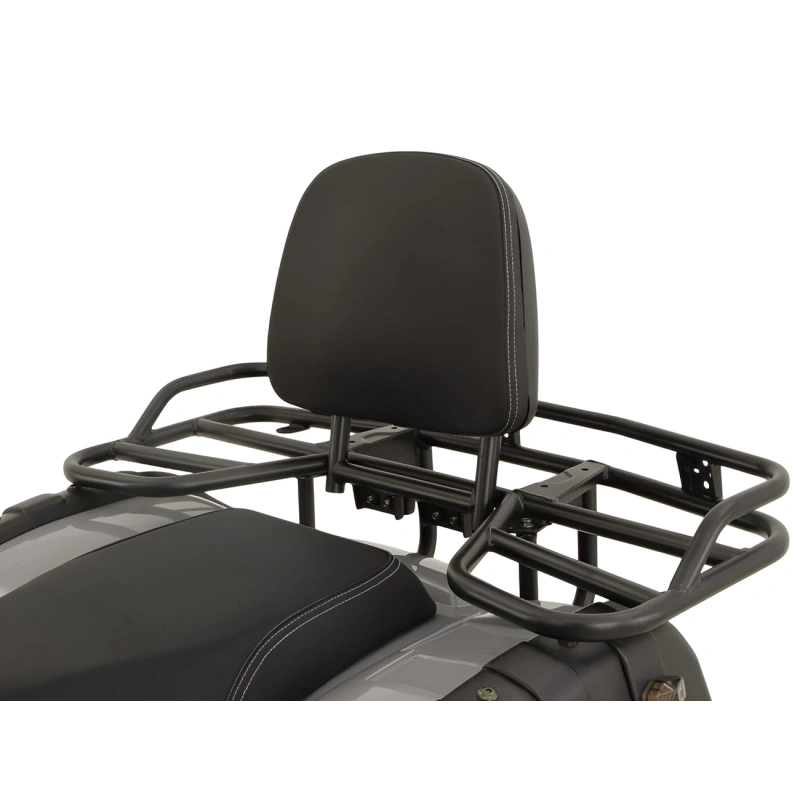 Квадроцикл GRIZZLY 200 Premium