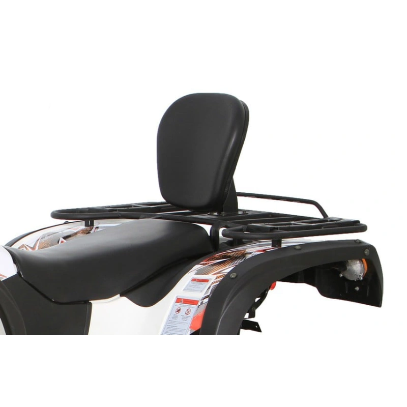 Квадроцикл BALTMOTORS Striker 700 EFI (ПСМ) 2546403