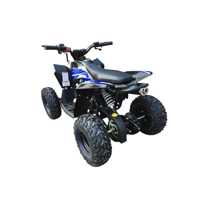 Квадроцикл MOTAX Gekkon 90cc