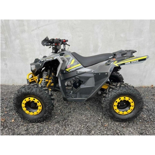 Квадроцикл FXMOTO Tank 125 2591475