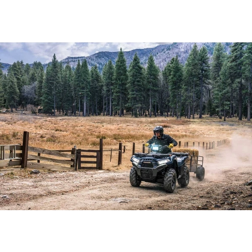 Квадроцикл KAWASAKI Brute Force 750 EPS (2024) (ПСМ)