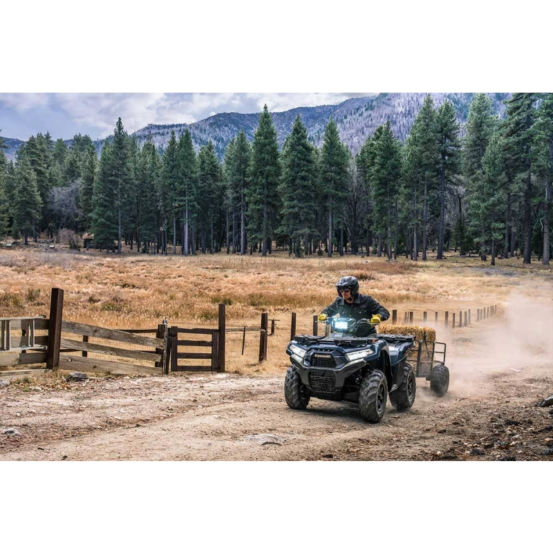 Квадроцикл KAWASAKI Brute Force 750 EPS (2024) (ПСМ)