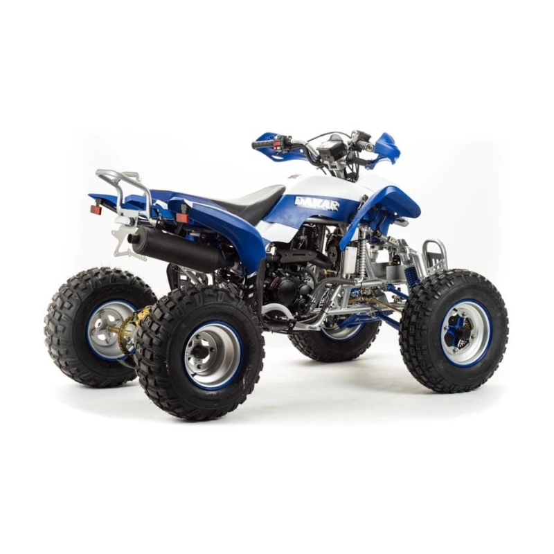 Квадроцикл MOTOLAND 250 Dakar 248053