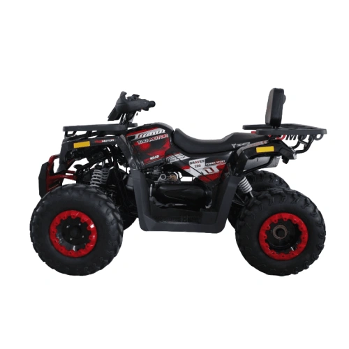 Квадроцикл HUNTER 250 2569720