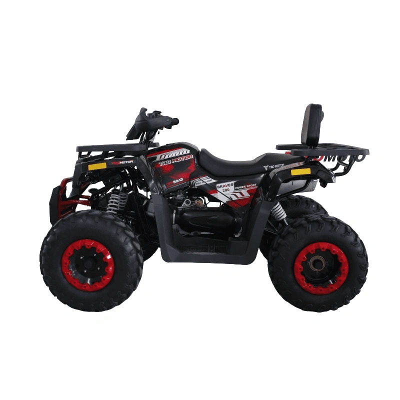 Квадроцикл HUNTER 250 2569720