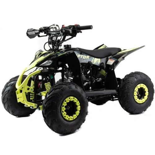 Квадроцикл MOTOLAND Raptor 110 2583965