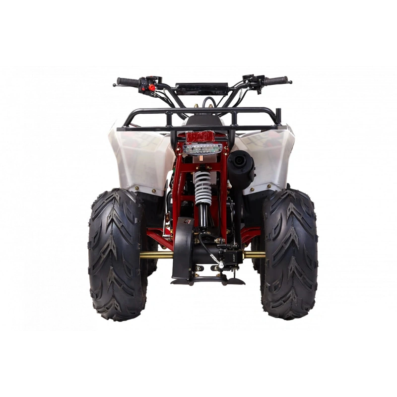 Квадроцикл WELS Thunder Evo M детский 2556390