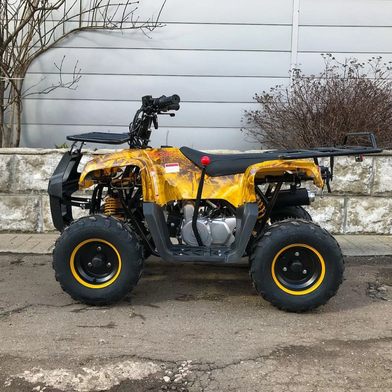 Квадроцикл YACOTA Smarty 110 248075