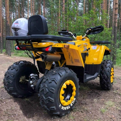 Квадроцикл MOTOLAND 200 Wild Track X 2586884