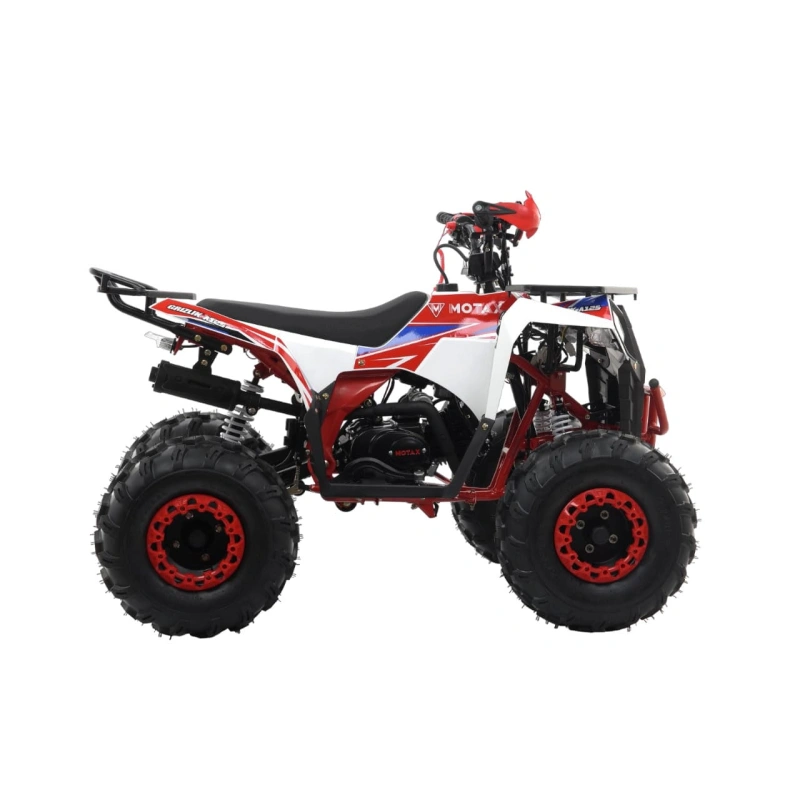 Квадроцикл MOTAX Grizlik A125