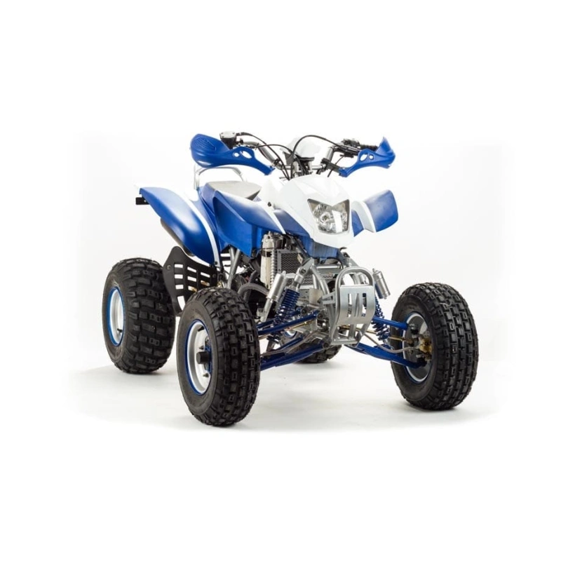 Квадроцикл MOTOLAND 250 Dakar 248053