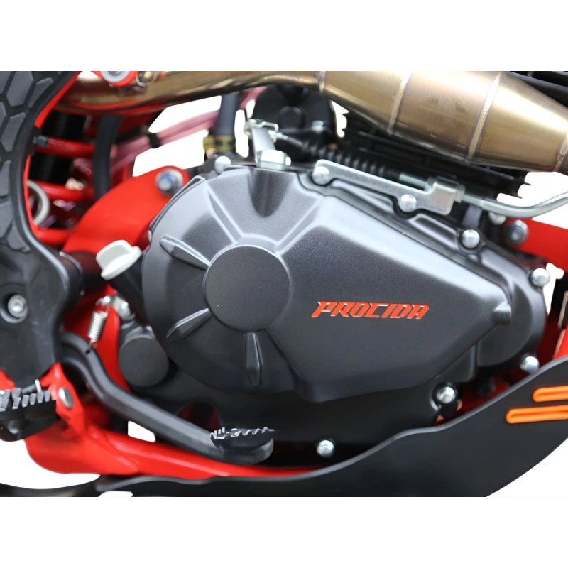 Мотоцикл PROCIDA PR300 ENDURO 2589453