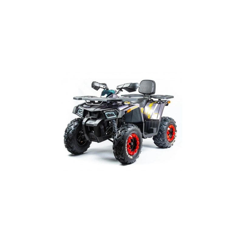 Квадроцикл MOTOLAND 200 Wild Track X Pro (2022) 248139