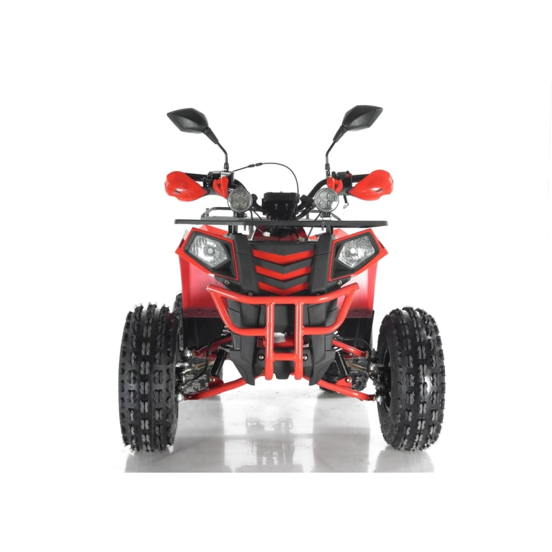 Квадроцикл RAPTOR Madman 200