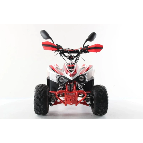 Квадроцикл MOTAX Mikro 110 New