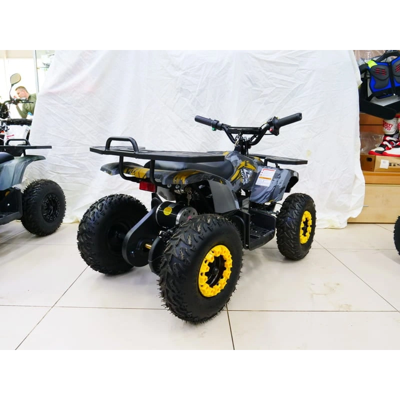 Электроквадроцикл MOTAX Grizlik X16 New E1000 Big Wheel 2547482