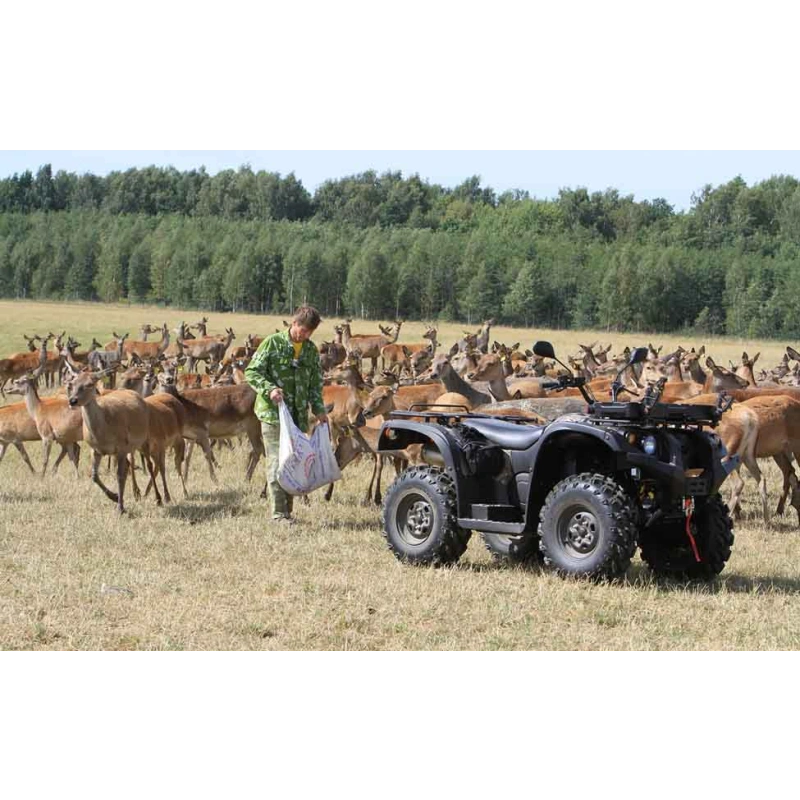 Квадроцикл BALTMOTORS Striker 700 EFI (ПСМ) 2546403