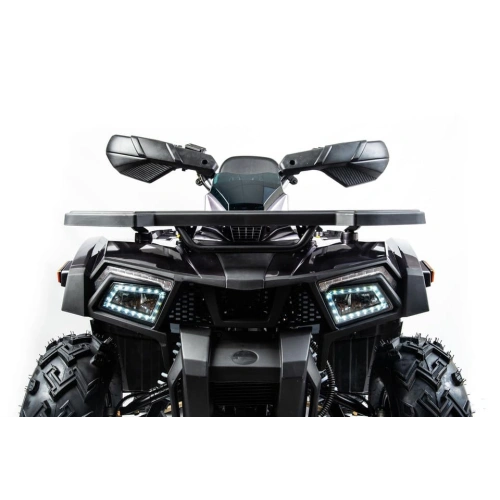 Квадроцикл MOTOLAND 200 Wild Track X Pro (2022)