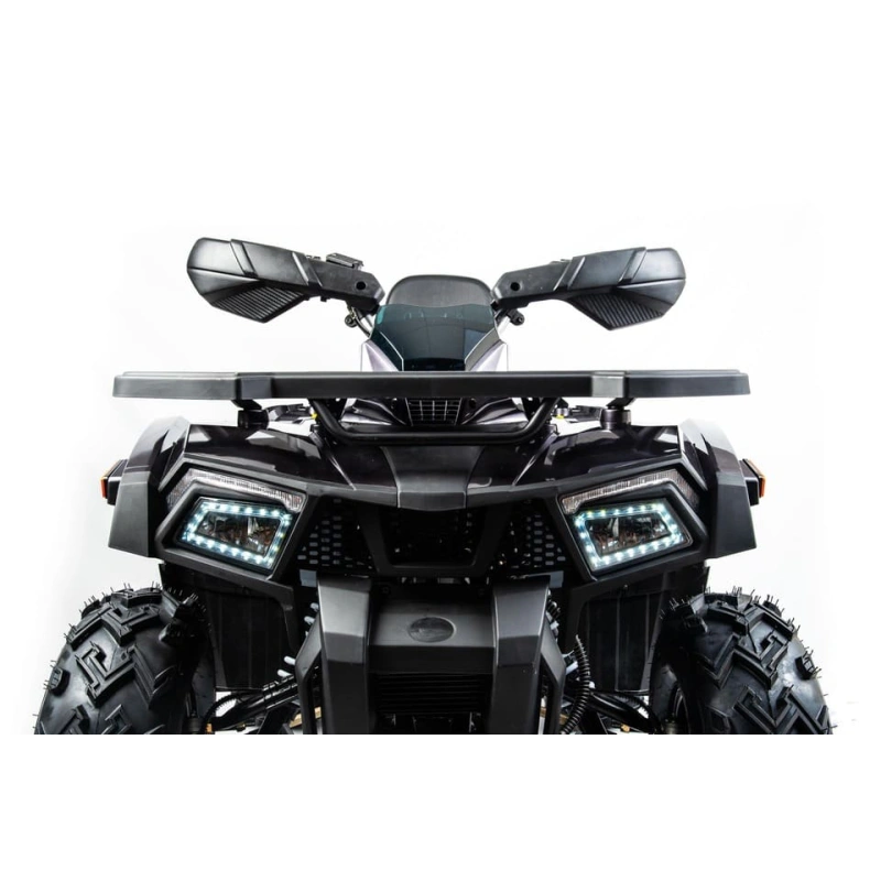 Квадроцикл MOTOLAND 200 Wild Track X Pro (2022)