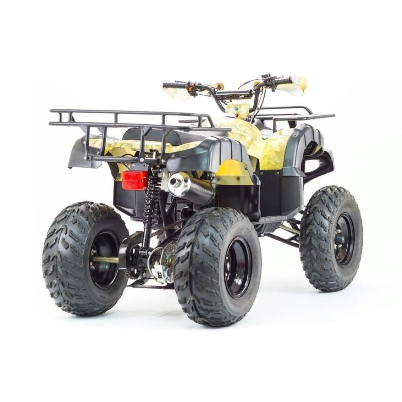 Квадроцикл MOTOLAND 250 Adventure (2021 Г.) 248047
