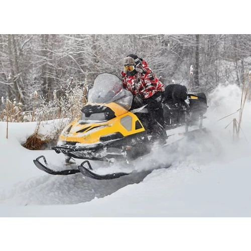 Снегоход STELS Viking S600 ST2.0