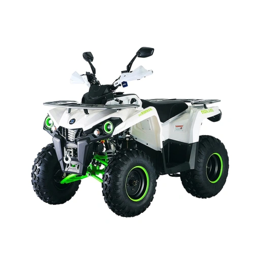 Квадроцикл MIKILON Hammer 200L Pro-R 2559271