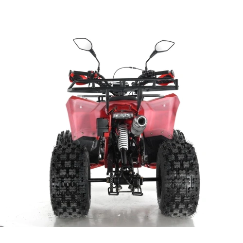 Квадроцикл WELS Thunder Evo X 250428