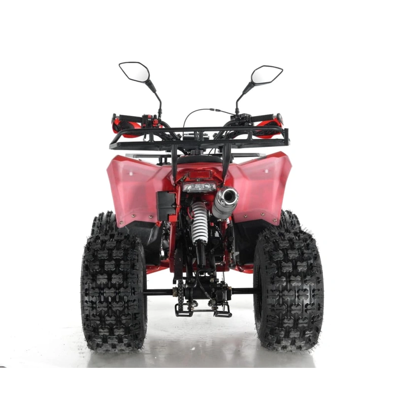 Квадроцикл WELS Thunder Evo X 250428