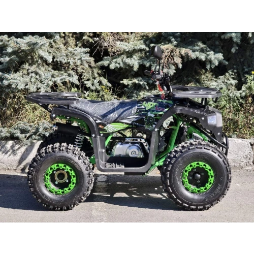 Квадроцикл RMOTO Lion 125AR Lite 2591470