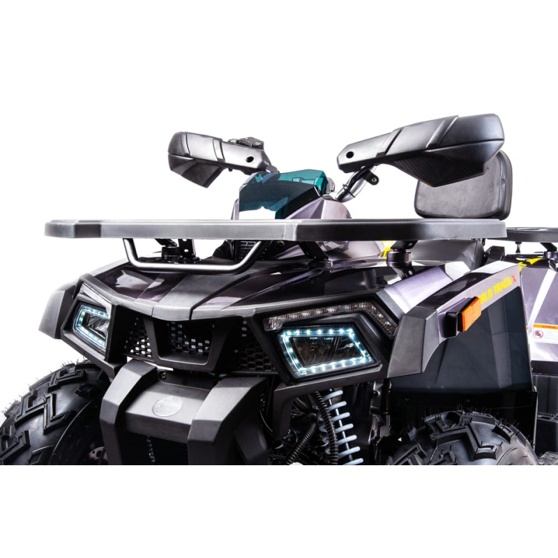 Квадроцикл MOTOLAND 200 Wild Track X Pro (2022) 248139