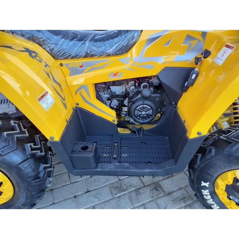 Квадроцикл MOTOLAND ATV 200 Wild Track 248051