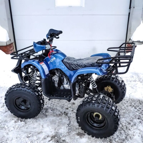 Квадроцикл MOTOLAND 125 Fox A 248074