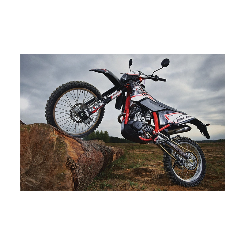 Мотоцикл МИНСК ERX250 ENDURO 2560221