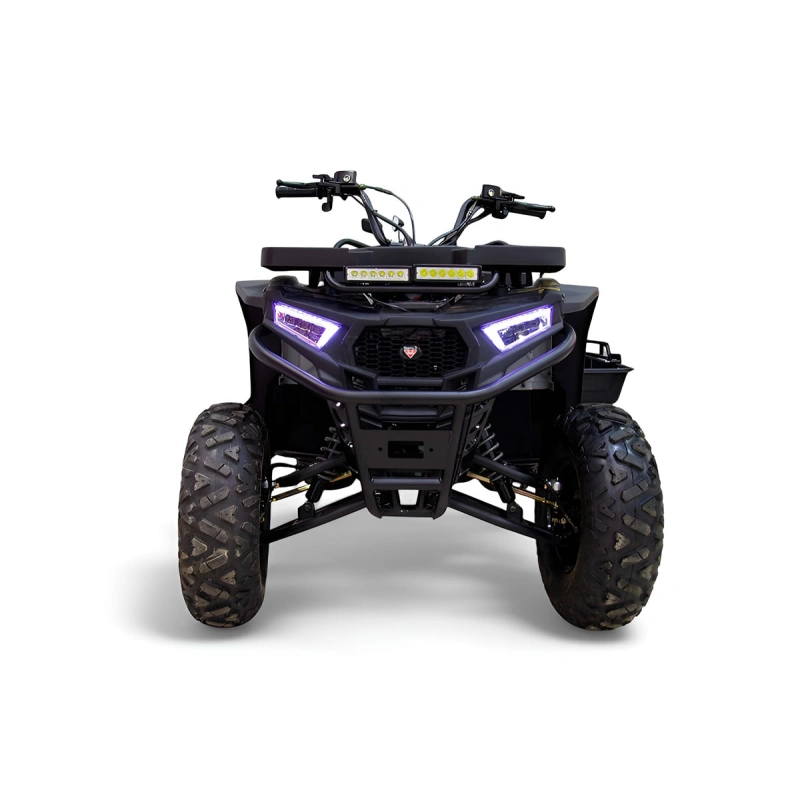 Квадроцикл MOTAX Grizlik W200 2591534