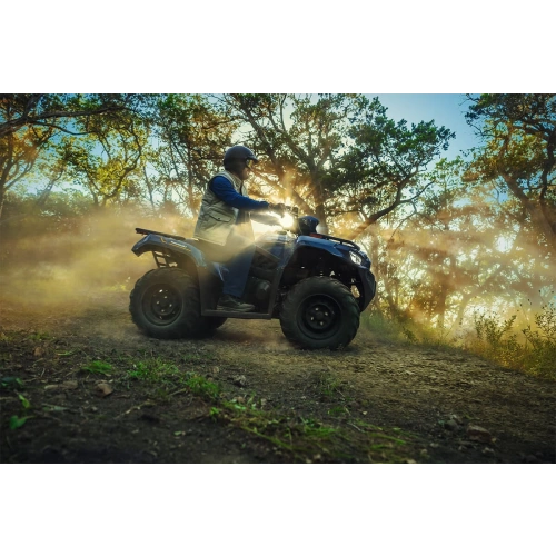 Квадроцикл KAWASAKI Brute Force 450 4x4 (2025)
