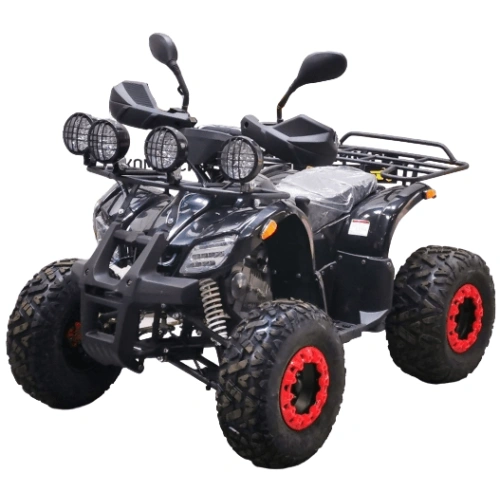 Квадроцикл BISON Kids 125 LD 2569651