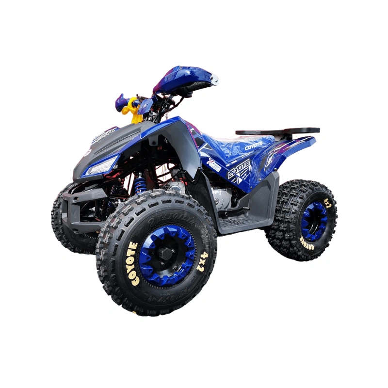 Квадроцикл MOTOLAND 125 Coyote Pro 2569746